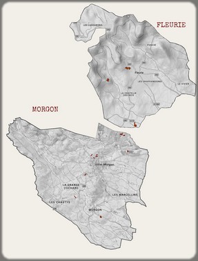 Carte des parcelles